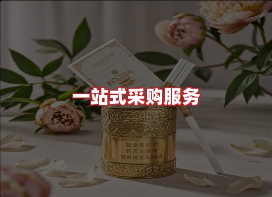 专业团队